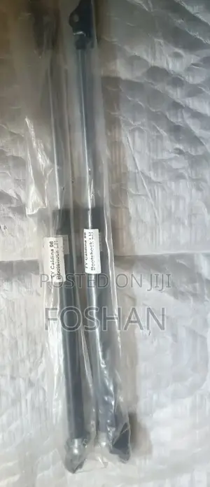 Caldina 1996 Boot Shocks