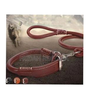 Complete Set Easy Grip Rolled Up Leather Dog Collar and Leash - main view