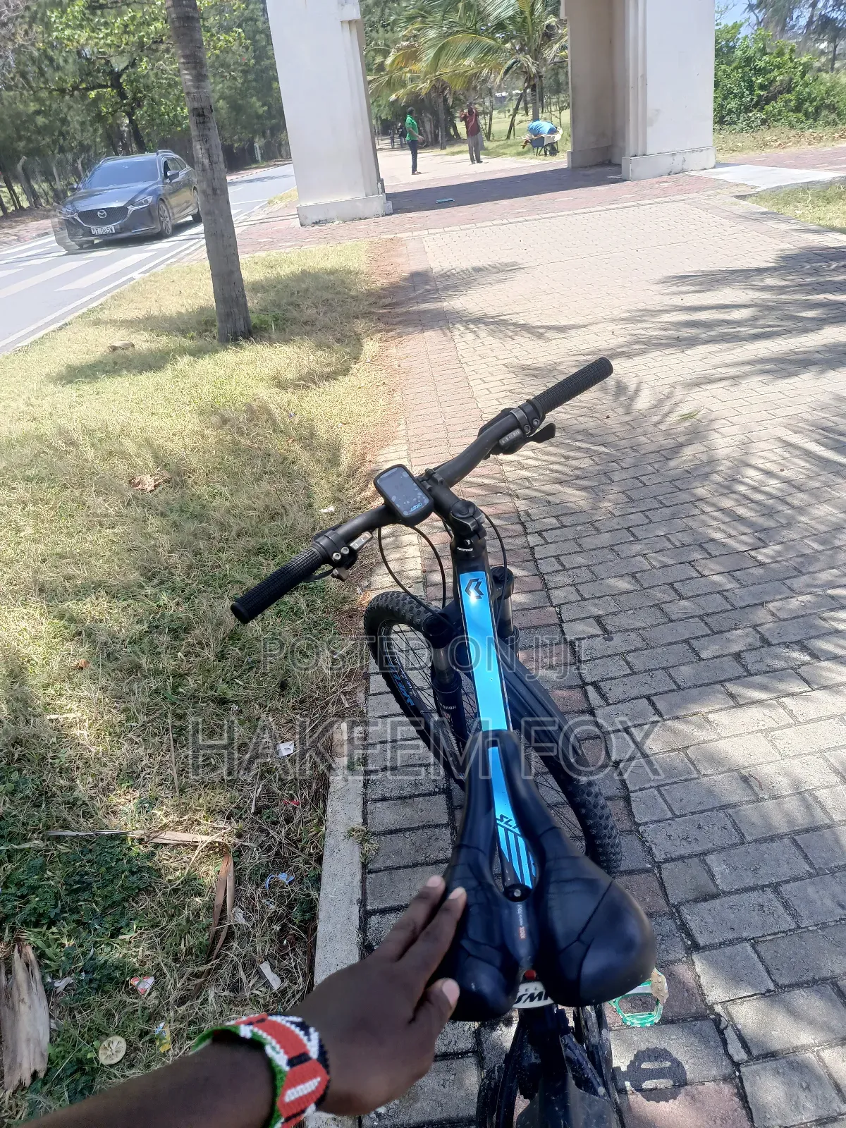 Original Canyon Bike