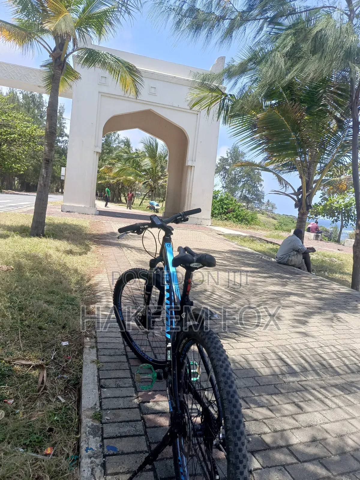 Original Canyon Bike