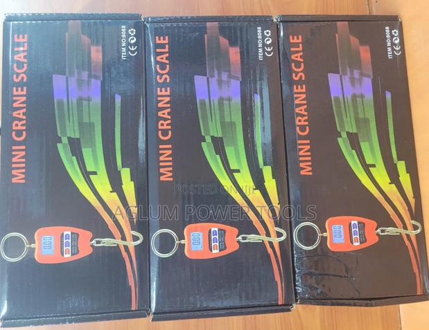 Crane Scale Accurate 200kgs - main view