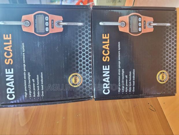 Accurate Hanging Scale 300kgs - main view