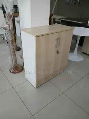 Two-Tone Finish Modern Lockable Storage Cabinet