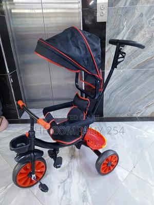 Push Tricycle With Canopy - thumbnail 2