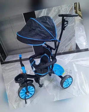 Push Tricycle With Canopy