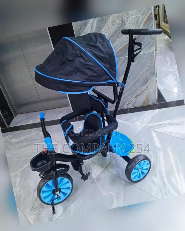 Push Tricycle With Canopy - thumbnail 4
