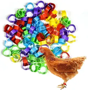 Colorful, Numbered Chicken Leg Rings for Identification - Pack of 100