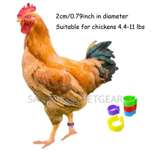 Colorful, Numbered Chicken Leg Rings for Identification - Pack of 100