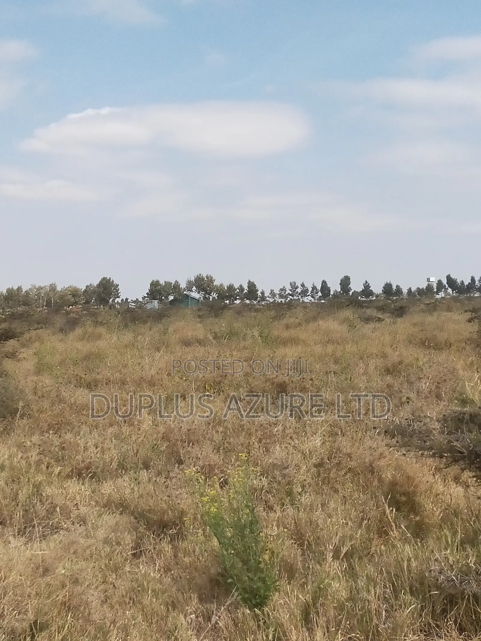 4 Acres in Kajiado-Ildamat
