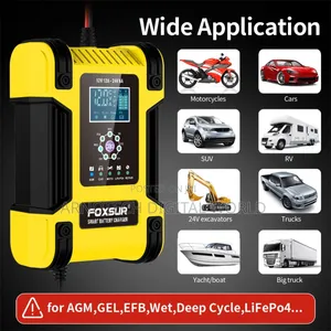 Foxsur 12v/24v LCD Pulse Repair Battery Charger