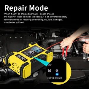 Foxsur 12v/24v LCD Pulse Repair Battery Charger