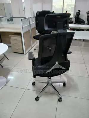 Lumbar Support Chrome Base Ergonomic Chair