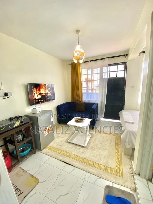 Affordable Studio in Utawala - main view