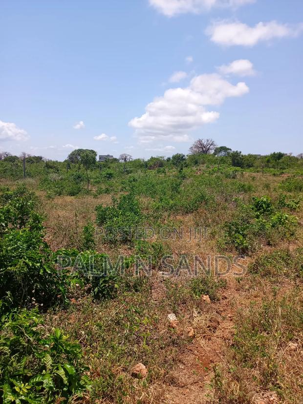 2.25 Acres Next to Pazurina Diani on Sale.L - thumbnail 4