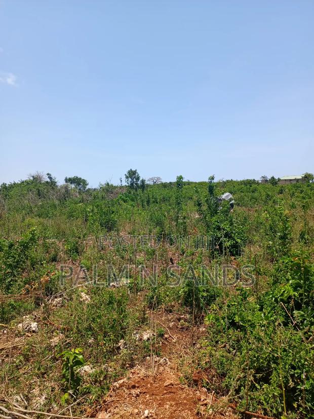 2.25 Acres Next to Pazurina Diani on Sale.L - thumbnail 6