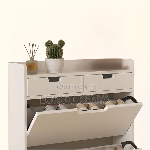 Storage Cabinet : Wooden Shoe Storage Cabinet Front Drop - thumbnail 3