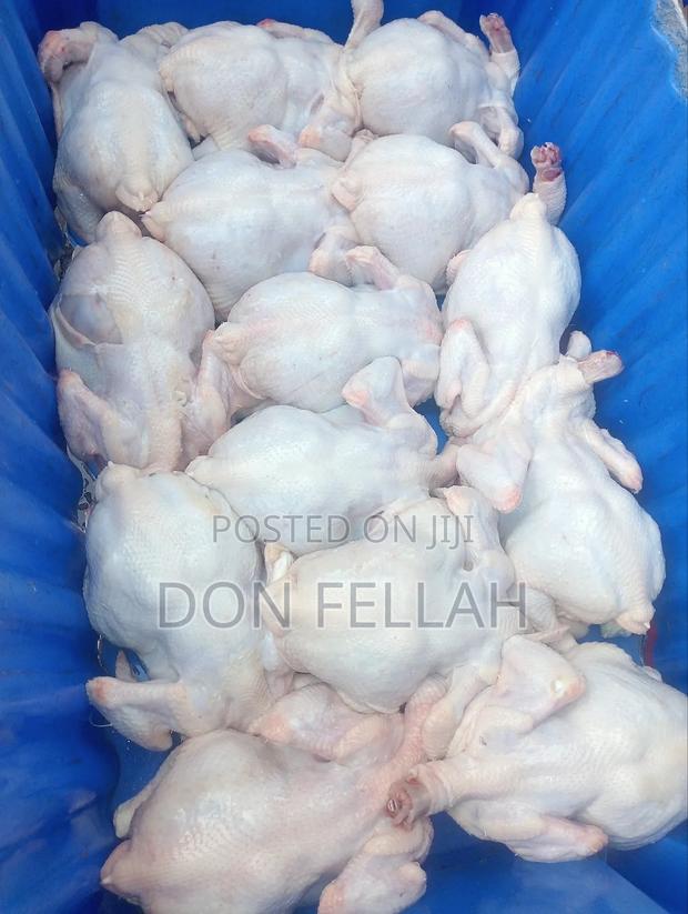 Broiler Chicken - main view