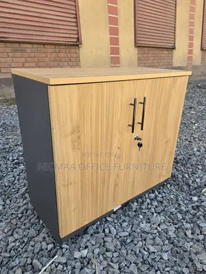 Modern Lockable Wooden Cabinet