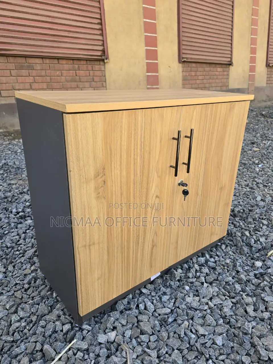 Modern Lockable Wooden Cabinet