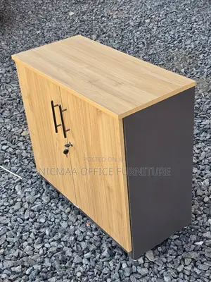 Modern Lockable Wooden Cabinet