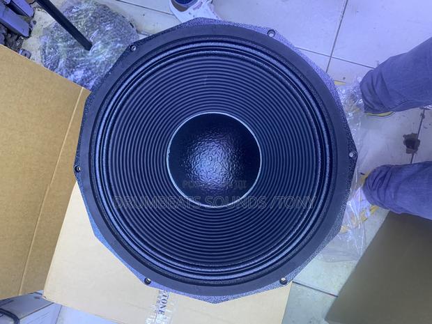 Nr Pd1890 Naked Speaker - thumbnail 2