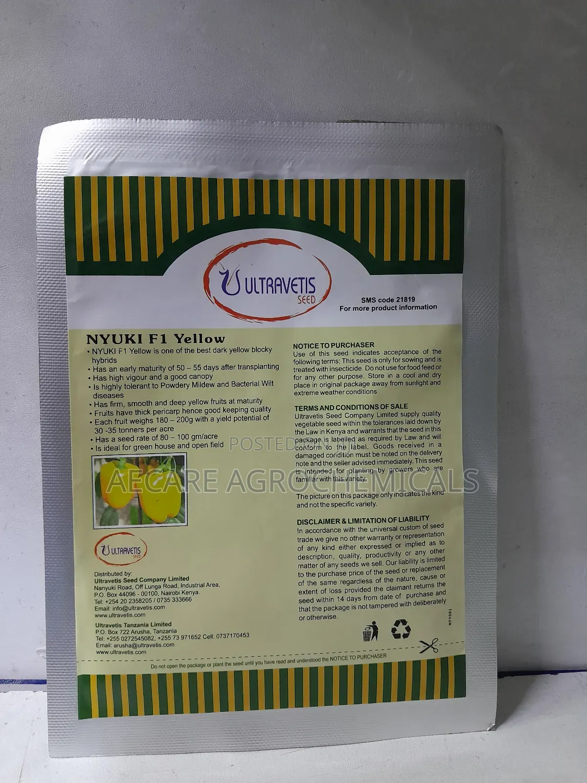 Nyuki F1 Yellow Capsicum 10 Grams