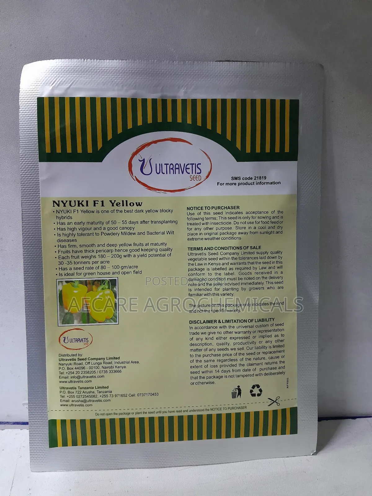 Nyuki F1 Yellow Capsicum 10 Grams