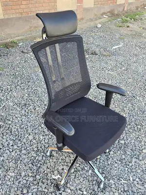 Ergonomic Executive Chair Mesh Back With Headrest Chrome Base