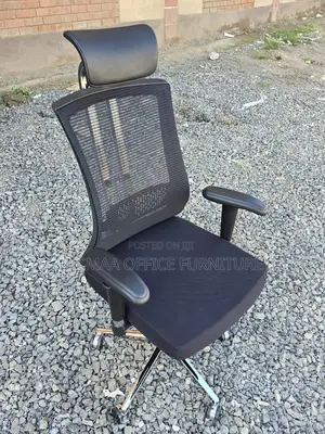 Ergonomic Executive Chair Mesh Back With Headrest Chrome Base