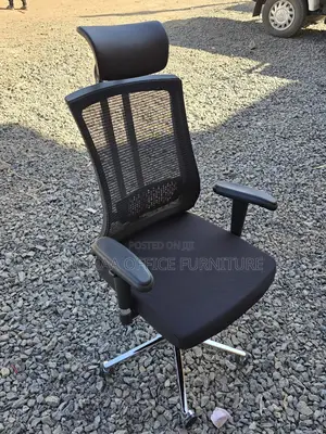 Ergonomic Executive Chair Mesh Back With Headrest Chrome Base