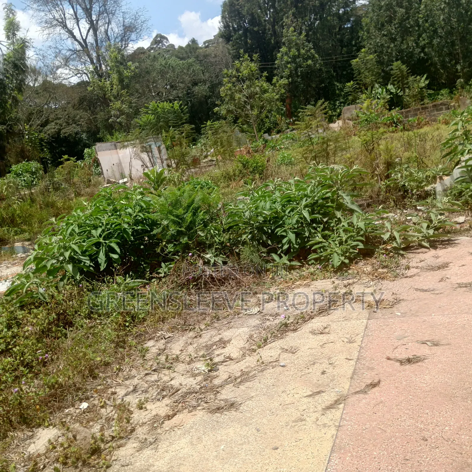 Commercial Land for Lease