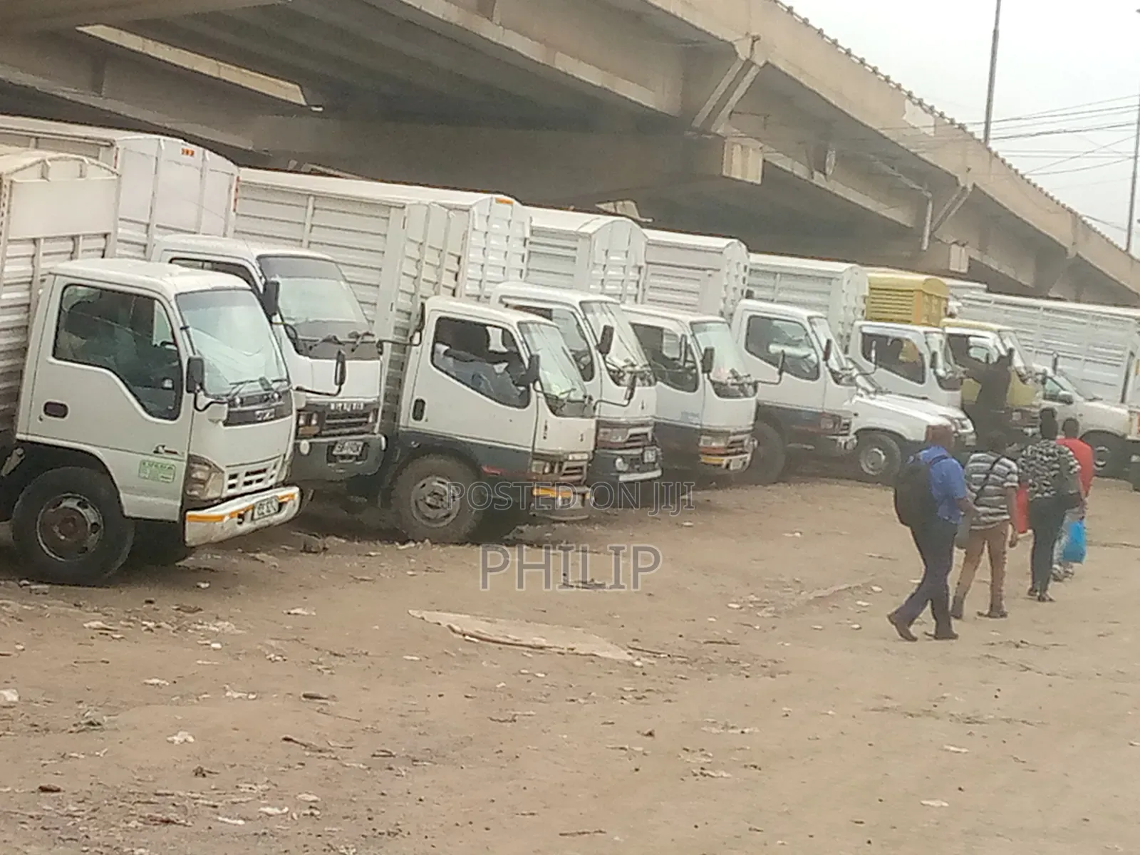Dm Transporter Logistics