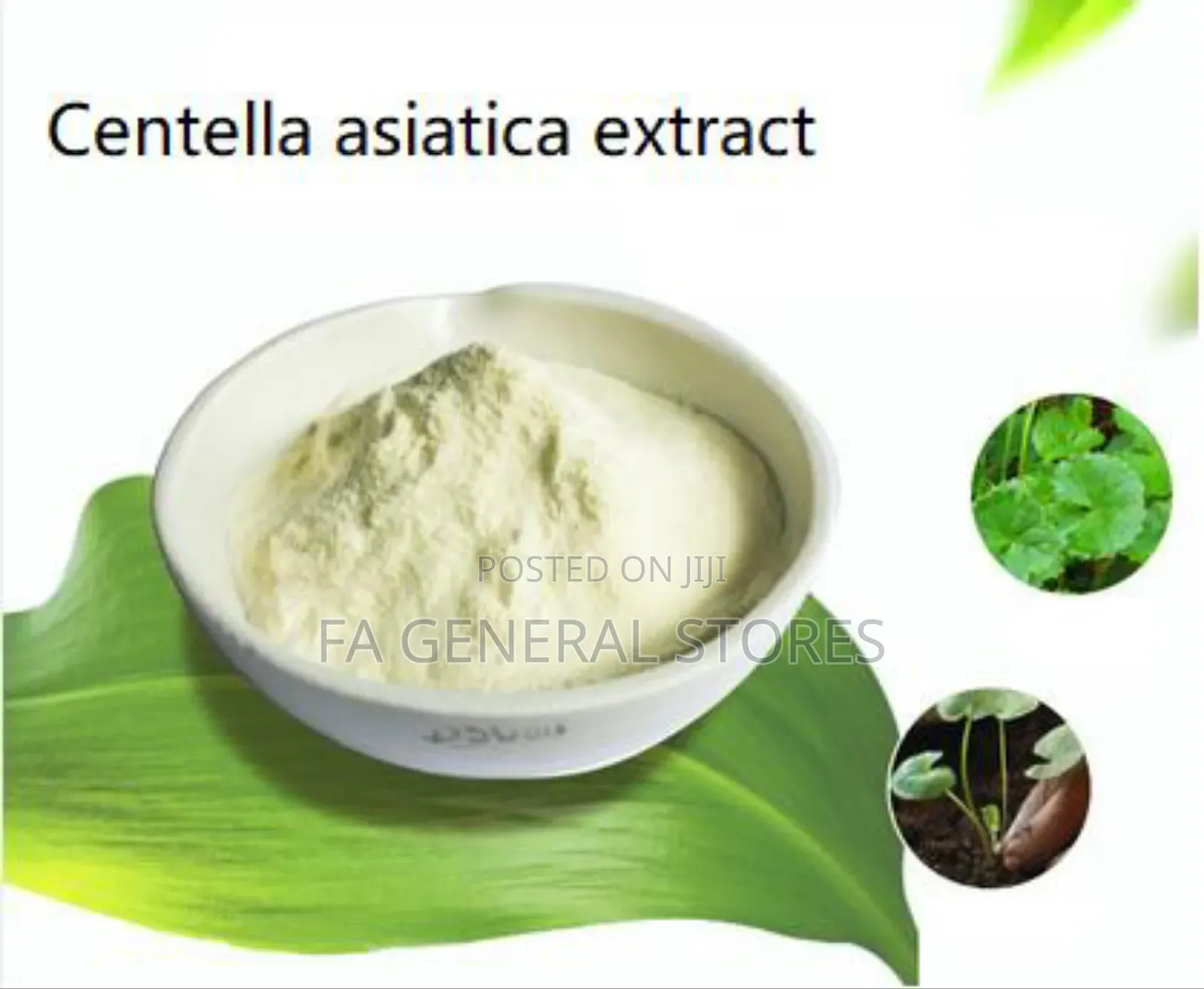 Centella Asiatica(Cica)