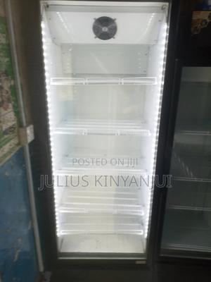 680l Standing Display Fridge - main view