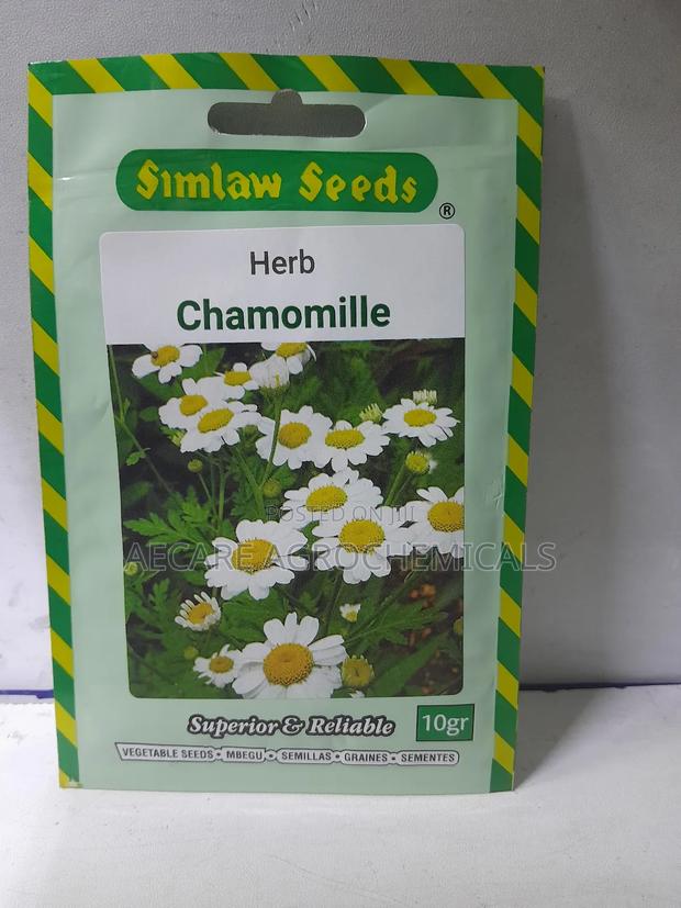 Chamomile Herb Seeds 10 Grams - thumbnail 3