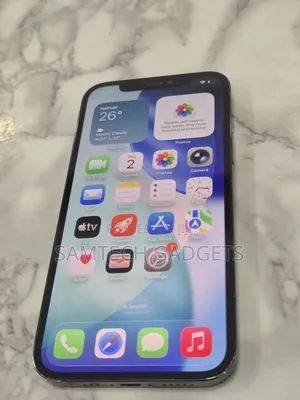 Apple iPhone 12 Pro 256 GB Gray