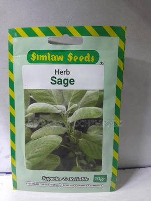 Sage Herb Seeds 10 Grams - thumbnail 2