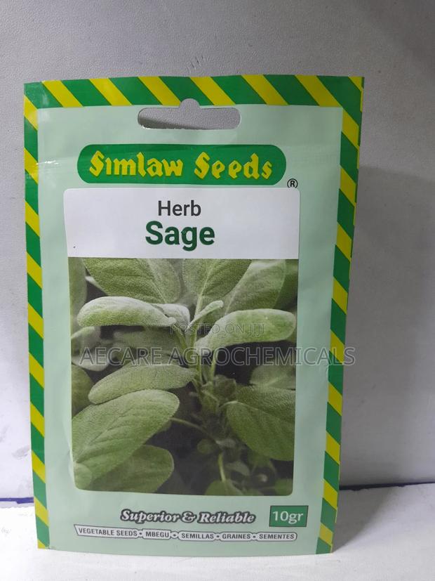 Sage Herb Seeds 10 Grams - main view