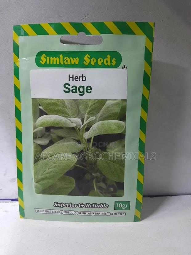 Sage Herb Seeds 10 Grams - thumbnail 3