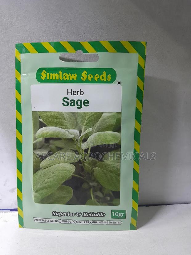 Sage Herb Seeds 10 Grams - thumbnail 4