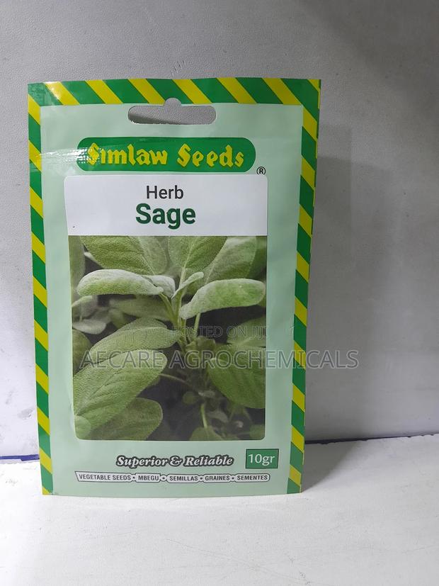 Sage Herb Seeds 10 Grams - thumbnail 5