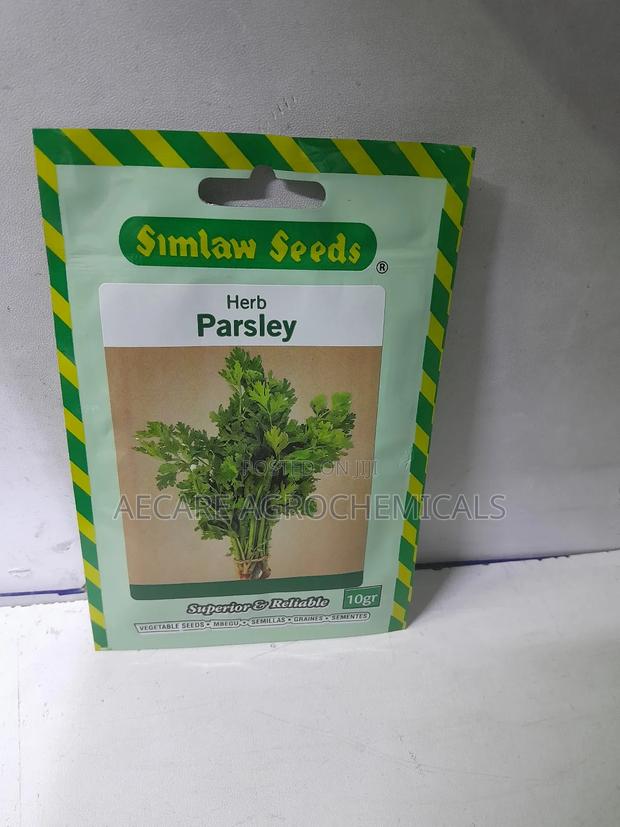 Parsley Herb Seeds 10 Grams - thumbnail 3
