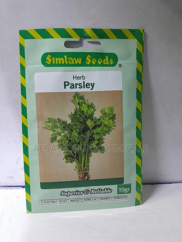 Parsley Herb Seeds 10 Grams - thumbnail 4