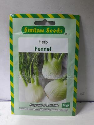 Fennel Herb Seeds 10 Grams - thumbnail 2