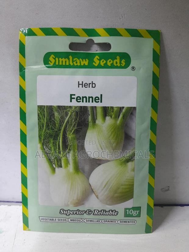 Fennel Herb Seeds 10 Grams - main view
