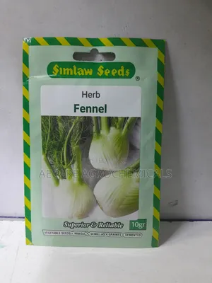 Fennel Herb Seeds 10 Grams