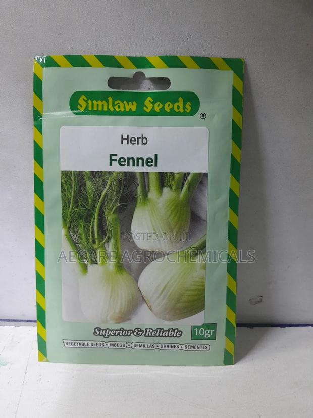 Fennel Herb Seeds 10 Grams - thumbnail 3