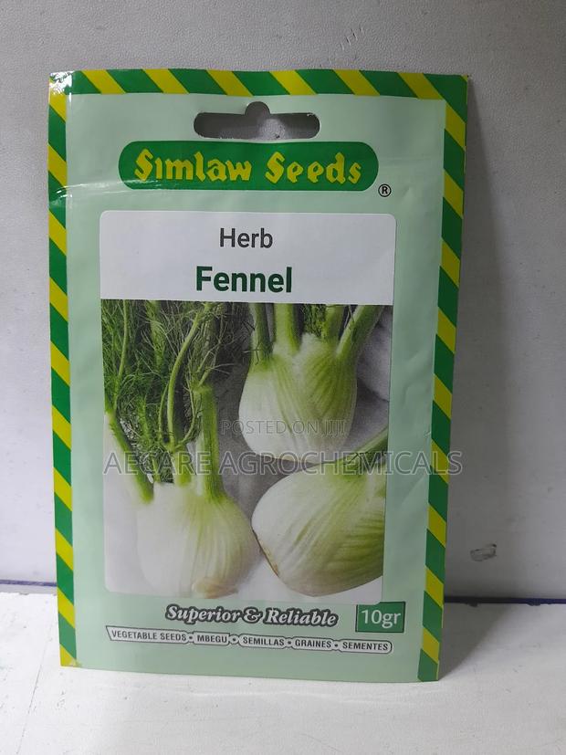 Fennel Herb Seeds 10 Grams - thumbnail 4
