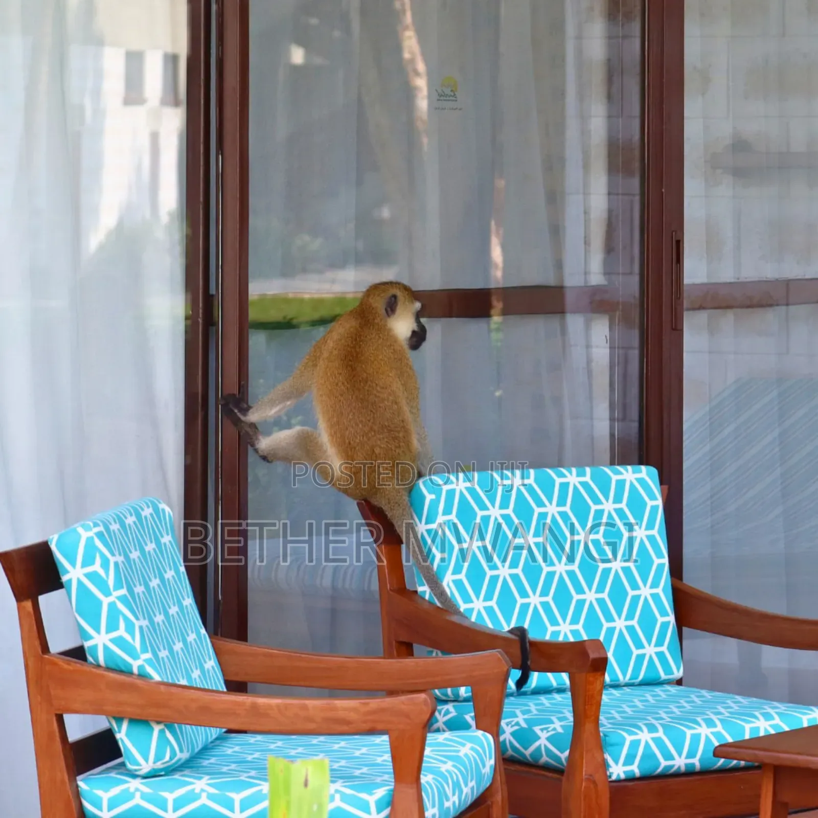 5 Days Diani Luxury Beach Escape