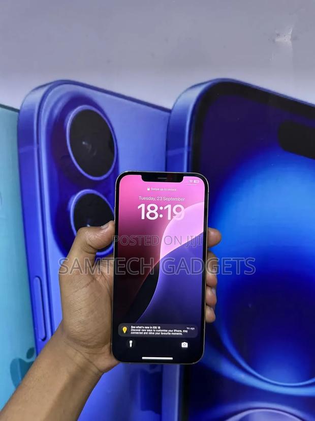 Apple iPhone 12 Pro 256 GB Silver - main view